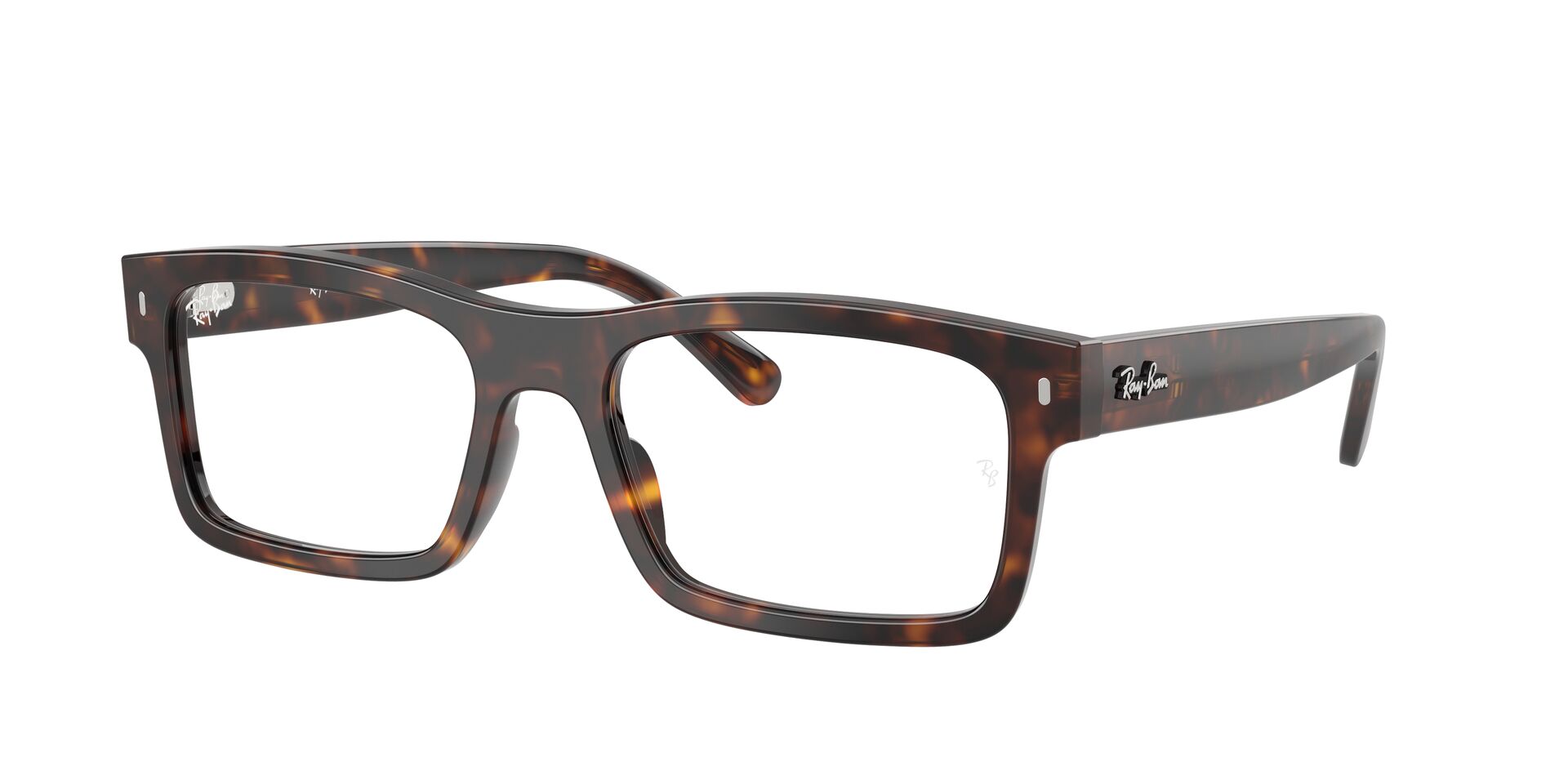 Ray Ban Brille RX5435 2012 