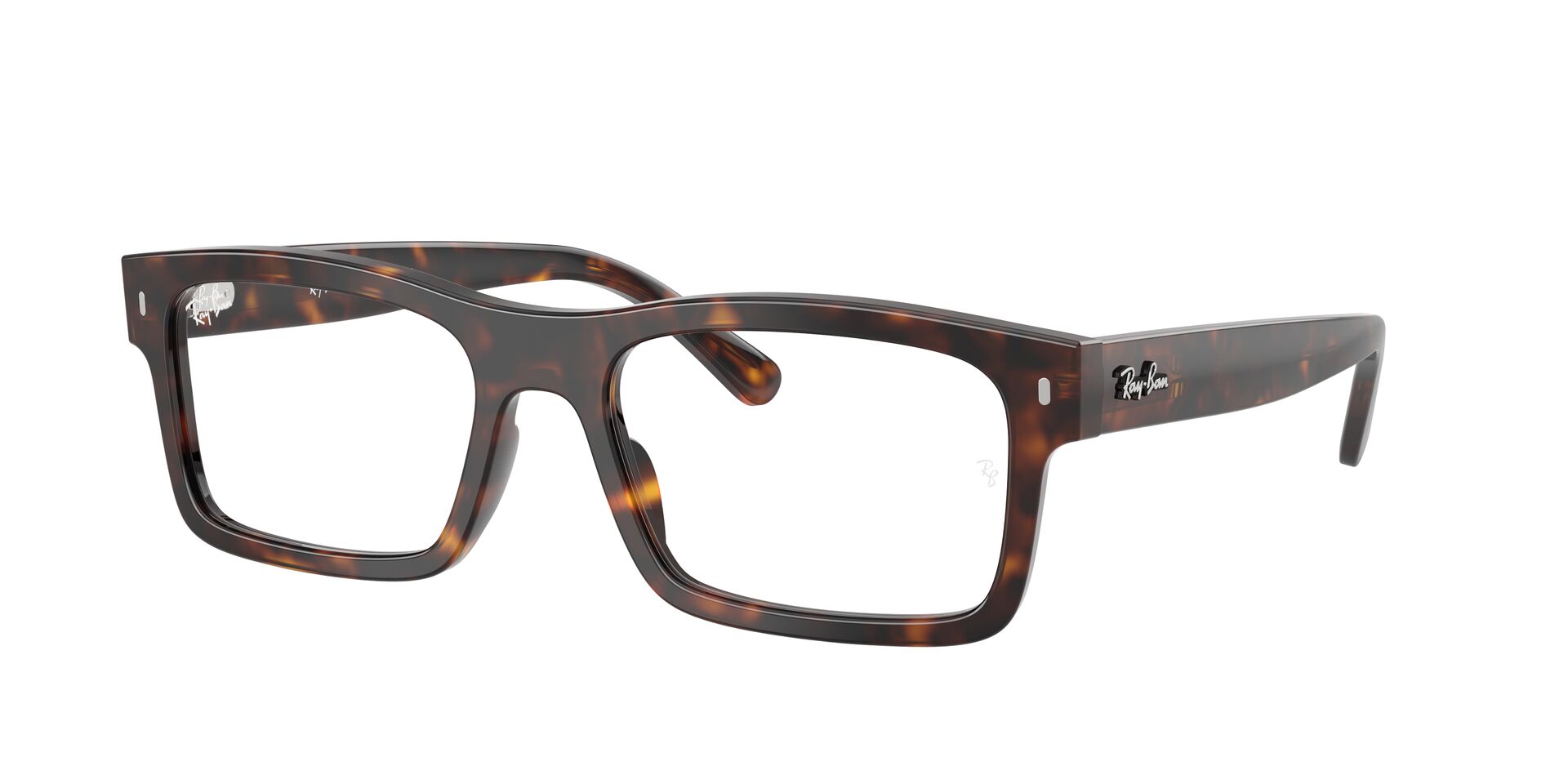 Ray Ban Brille RX5435 2012 